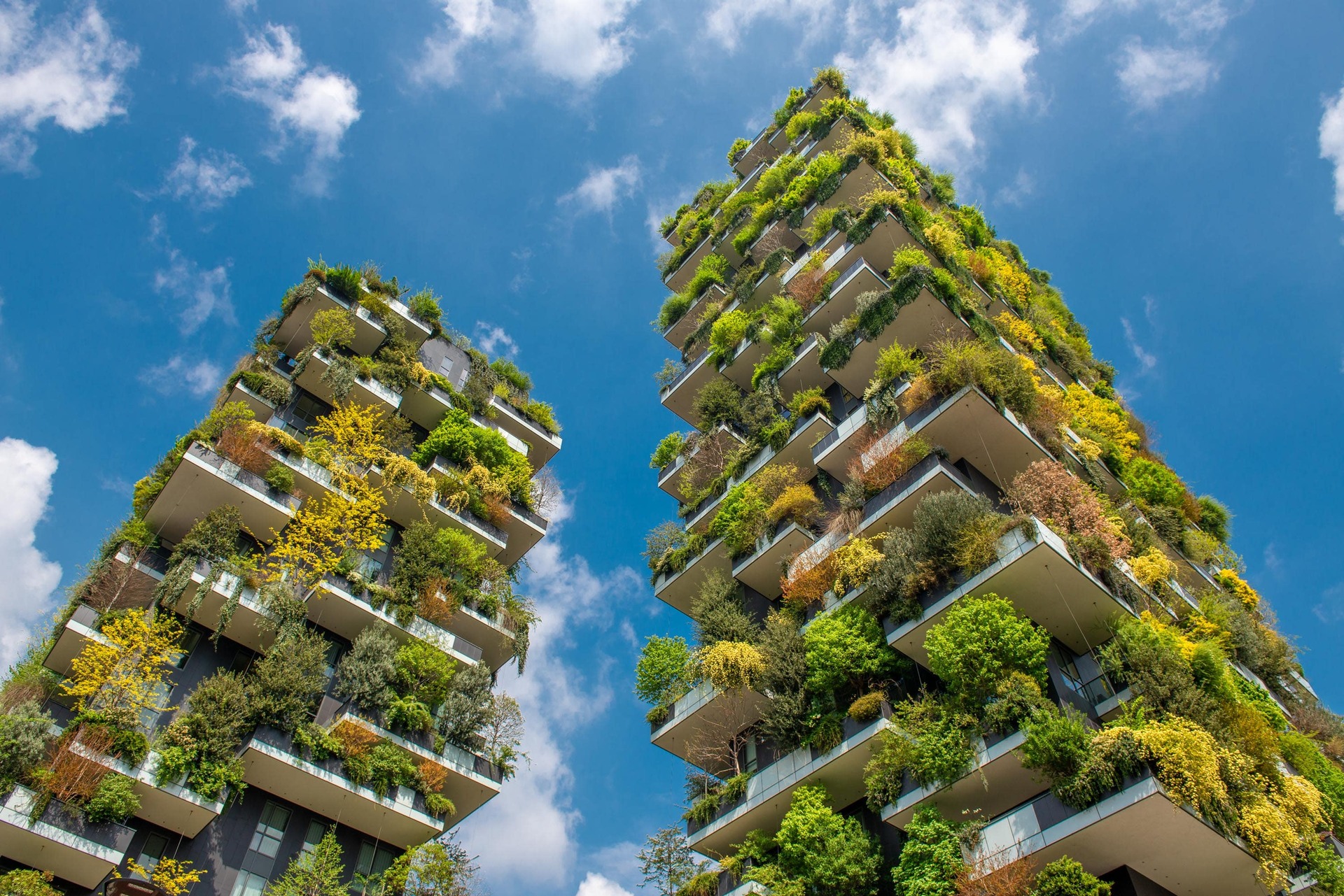 Cappotti Verdi: soluzioni sostenibili per città sempre più calde